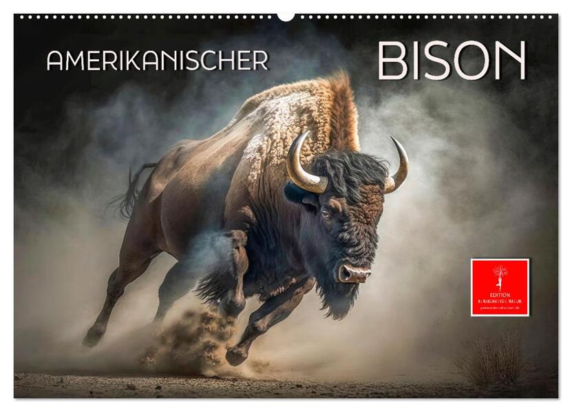 Amerikanischer Bison (Wandkalender 2026 DIN A2 quer) CALVENDO Monatskalender