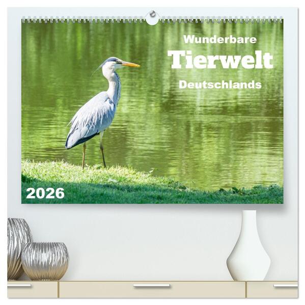 Wunderbare Tierwelt Deutschlands (hochwertiger Premium Wandkalender 2026 DIN A2 quer) Kunstdruck in Hochglanz