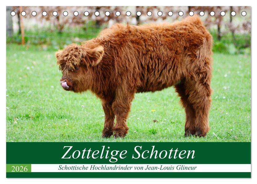 Zottelige Schotten (Tischkalender 2026 DIN A5 quer) CALVENDO Monatskalender