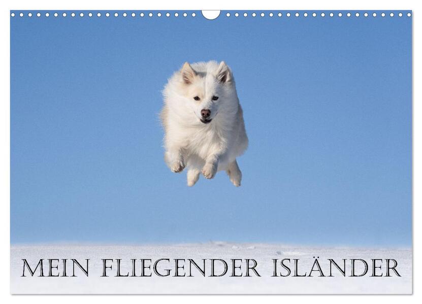 Mein fliegender Isländer (Wandkalender 2026 DIN A3 quer) CALVENDO Monatskalender