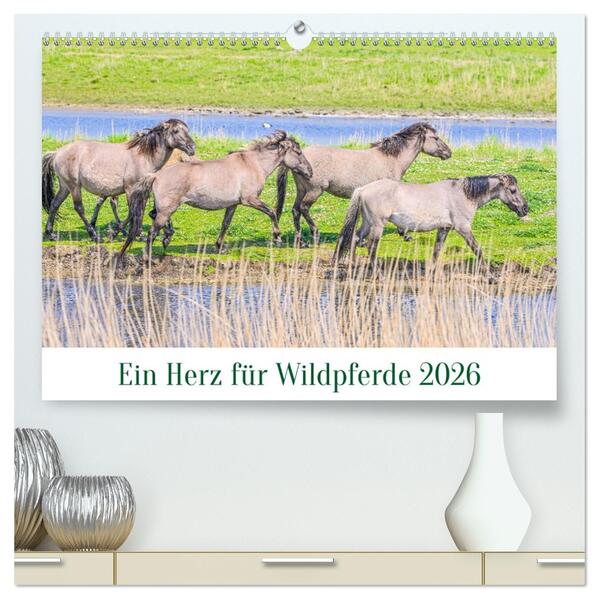 Ein Herz für Wildpferde (hochwertiger Premium Wandkalender 2026 DIN A2 quer) Kunstdruck in Hochglanz