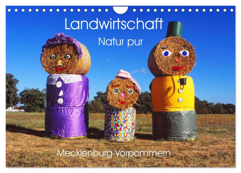 Landwirtschaft Natur pur Mecklenburg-Vorpommern (Wandkalender 2026 DIN A4 quer) CALVENDO Monatskalender
