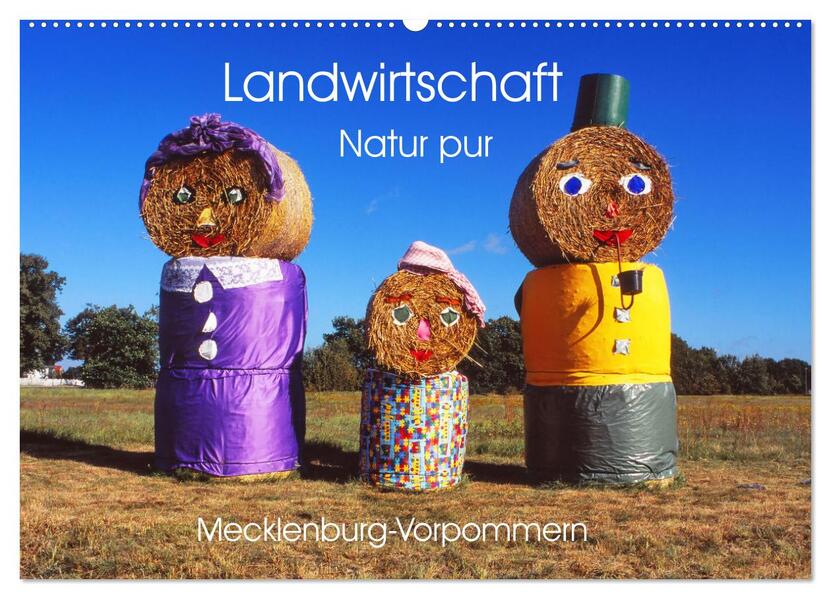 Landwirtschaft Natur pur Mecklenburg-Vorpommern (Wandkalender 2026 DIN A2 quer) CALVENDO Monatskalender