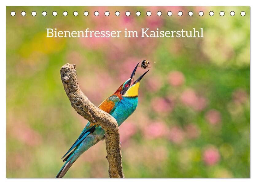Bienenfresser im Kaiserstuhl (Tischkalender 2026 DIN A5 quer) CALVENDO Monatskalender