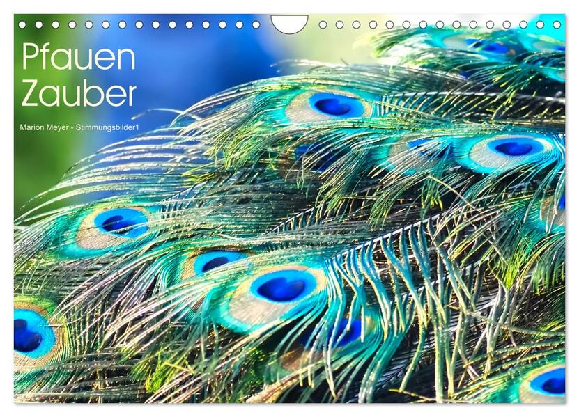 Pfauen Zauber (Wandkalender 2026 DIN A4 quer) CALVENDO Monatskalender