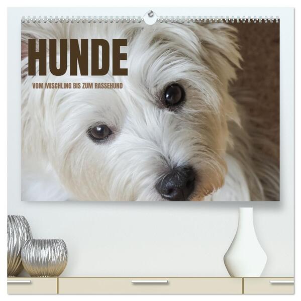Hunde - vom Mischling bis zum Rassehund (hochwertiger Premium Wandkalender 2026 DIN A2 quer) Kunstdruck in Hochglanz