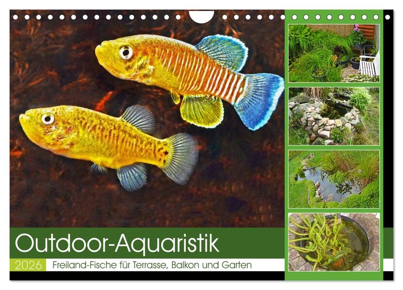 Outdoor-Aquaristik (Wandkalender 2026 DIN A4 quer) CALVENDO Monatskalender