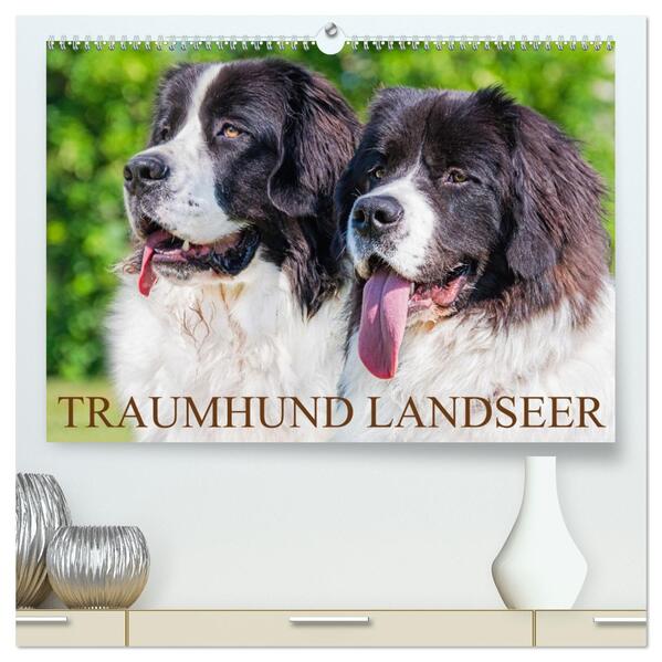 Traumhund Landseer (hochwertiger Premium Wandkalender 2026 DIN A2 quer) Kunstdruck in Hochglanz