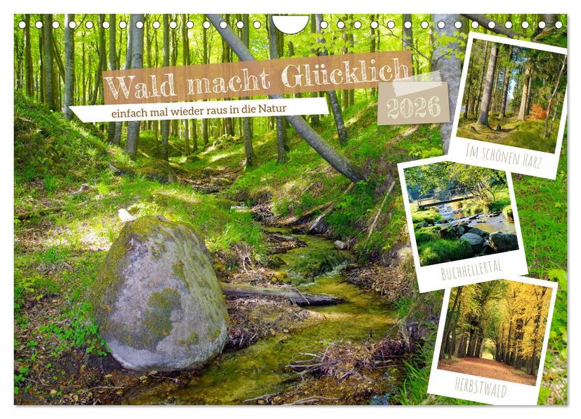 Wald macht glücklich (Wandkalender 2026 DIN A4 quer) CALVENDO Monatskalender