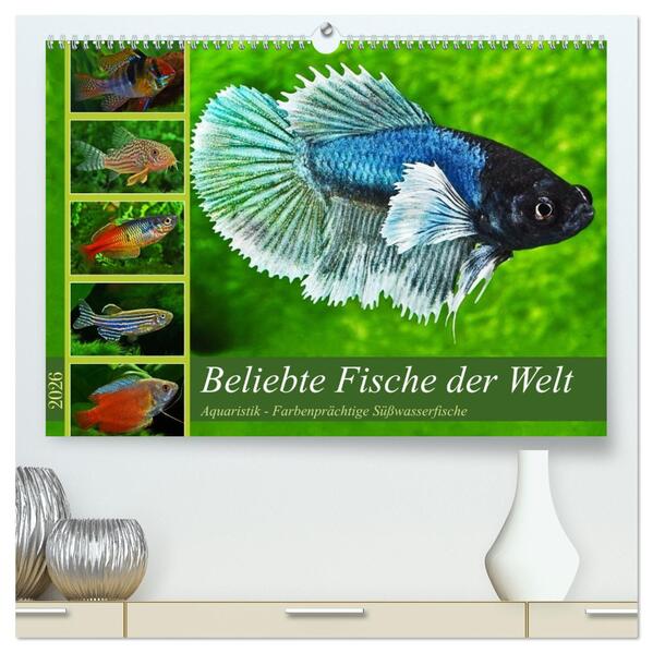 Beliebte Fische der Welt (hochwertiger Premium Wandkalender 2026 DIN A2 quer) Kunstdruck in Hochglanz