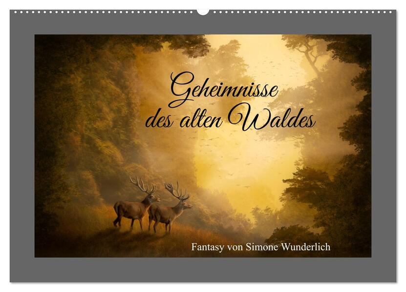 Geheimnisse des alten Waldes (Wandkalender 2026 DIN A2 quer) CALVENDO Monatskalender