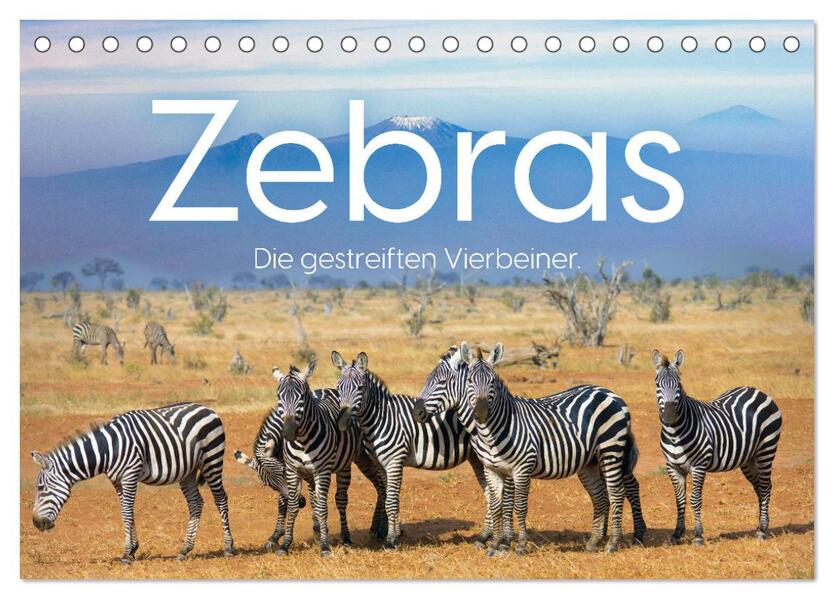 Zebras - Die gestreiften Vierbeiner. (Tischkalender 2026 DIN A5 quer) CALVENDO Monatskalender