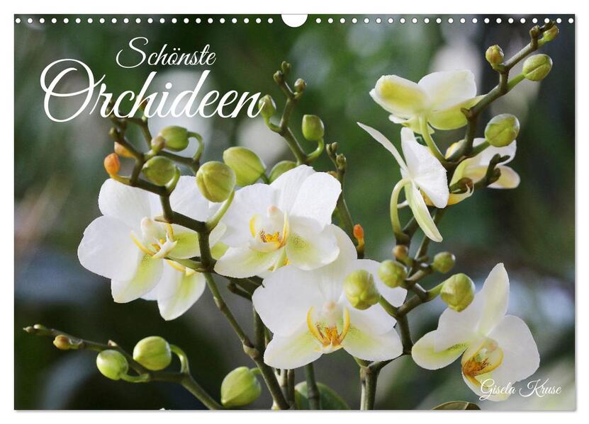 Schönste Orchideen (Wandkalender 2026 DIN A3 quer) CALVENDO Monatskalender