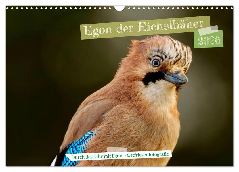 Egon der Eichelhäher - Durch das Jahr mit Egon - von Ostfriesenfotografie (Wandkalender 2026 DIN A3 quer) CALVENDO Monatskalender