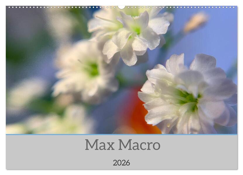 Max Macro (Wandkalender 2026 DIN A2 quer) CALVENDO Monatskalender