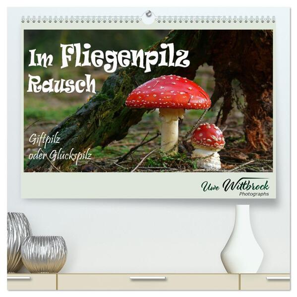 Im Fliegenpilz Rausch (hochwertiger Premium Wandkalender 2026 DIN A2 quer) Kunstdruck in Hochglanz