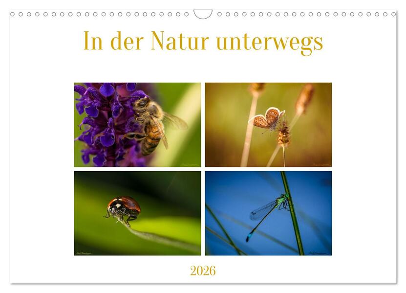 In der Natur unterwegs (Wandkalender 2026 DIN A3 quer) CALVENDO Monatskalender