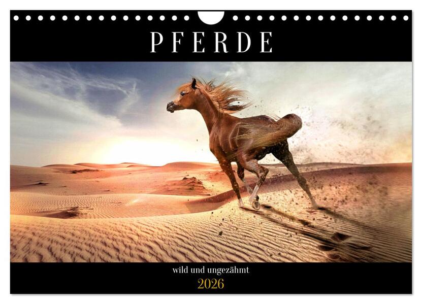 Pferde - wild und ungezähmt (Wandkalender 2026 DIN A4 quer) CALVENDO Monatskalender