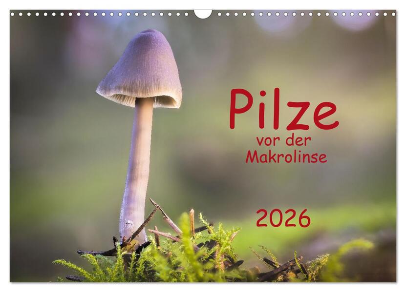 Pilze vor der Makrolinse 2026 (Wandkalender 2026 DIN A3 quer) CALVENDO Monatskalender