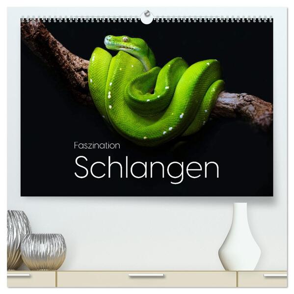 Faszination Schlangen (hochwertiger Premium Wandkalender 2026 DIN A2 quer) Kunstdruck in Hochglanz