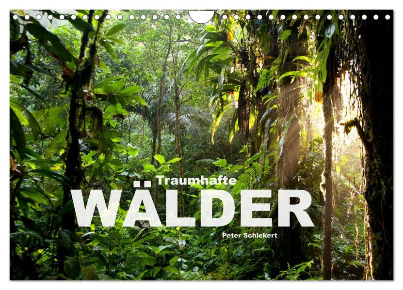 Traumhafte Wälder (Wandkalender 2026 DIN A4 quer) CALVENDO Monatskalender