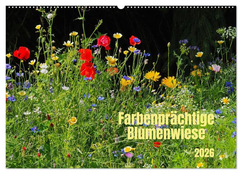 Farbenprächtige Blumenwiese (Wandkalender 2026 DIN A2 quer) CALVENDO Monatskalender