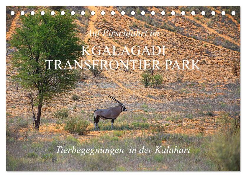 Auf Pirschfahrt im Kgalagadi Transfrontier Park (Tischkalender 2026 DIN A5 quer) CALVENDO Monatskalender
