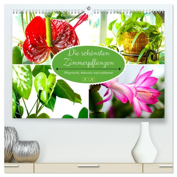 Die schönsten Zimmerpflanzen. Pflegeleicht dekorativ und wohltuend (hochwertiger Premium Wandkalender 2026 DIN A2 quer) Kunstdruck in Hochglanz