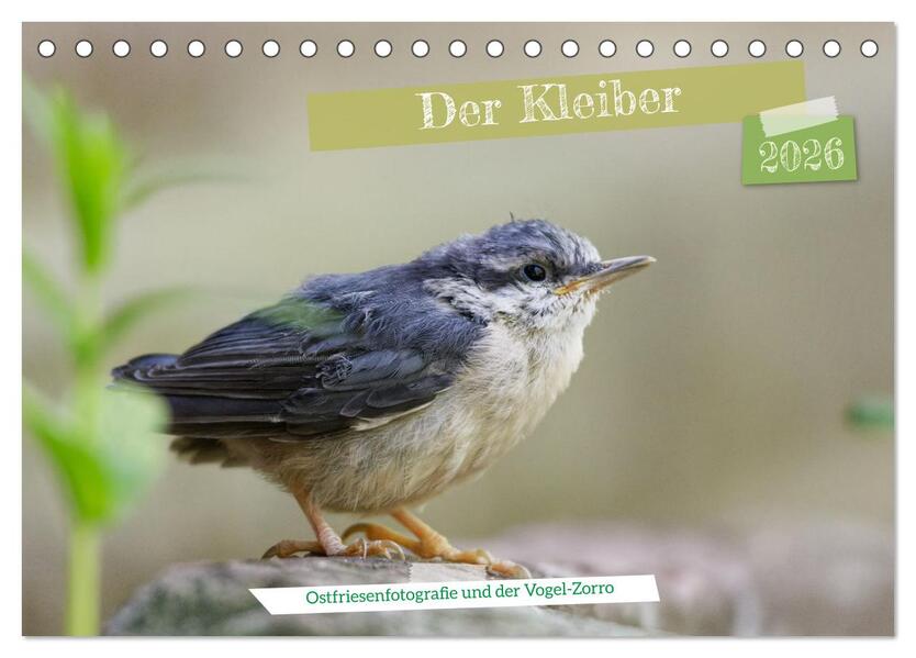 Der Kleiber - Ostfriesenfotografie und der Vogel-Zorro (Tischkalender 2026 DIN A5 quer) CALVENDO Monatskalender