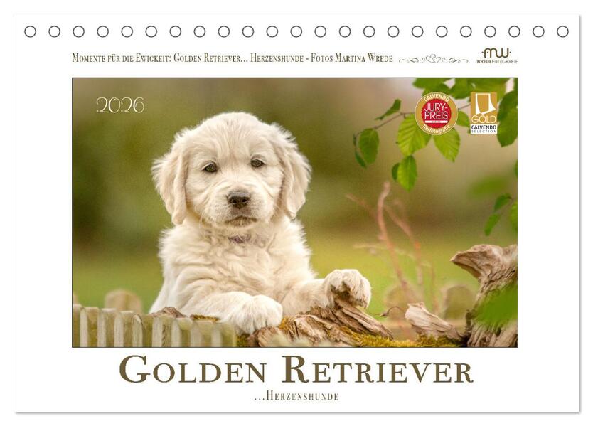 Golden Retriever... Herzenshunde (Tischkalender 2026 DIN A5 quer) CALVENDO Monatskalender