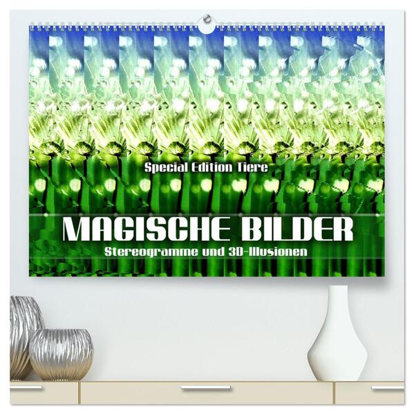 Magische Bilder - Stereogramme und 3D-Illusionen (hochwertiger Premium Wandkalender 2026 DIN A2 quer) Kunstdruck in Hochglanz