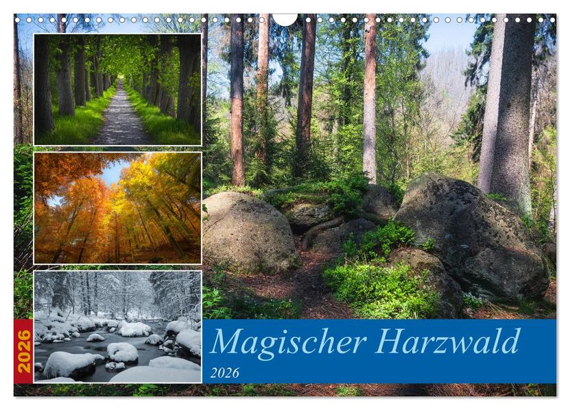 Magischer Harzwald (Wandkalender 2026 DIN A3 quer) CALVENDO Monatskalender
