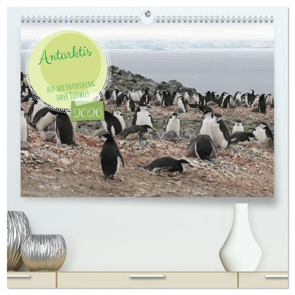 Antarktis Auf der Entdeckung ihrer Tierwelt (hochwertiger Premium Wandkalender 2026 DIN A2 quer) Kunstdruck in Hochglanz