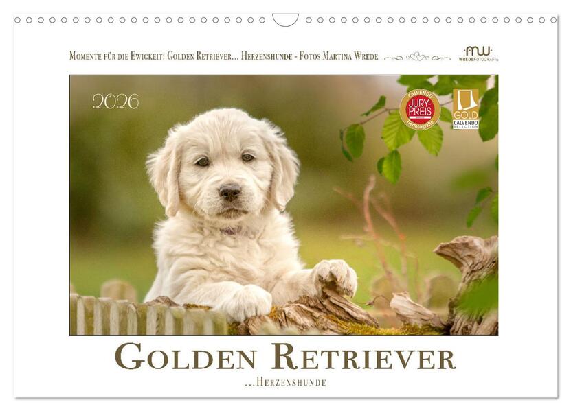 Golden Retriever... Herzenshunde (Wandkalender 2026 DIN A3 quer) CALVENDO Monatskalender
