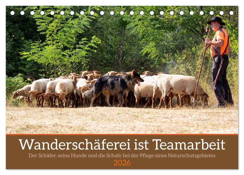 Wanderschäferei ist Teamarbeit (Tischkalender 2026 DIN A5 quer) CALVENDO Monatskalender