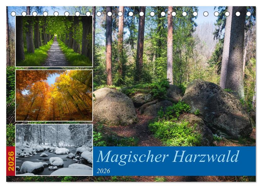 Magischer Harzwald (Tischkalender 2026 DIN A5 quer) CALVENDO Monatskalender