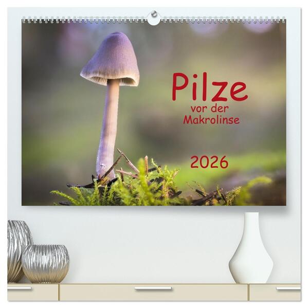 Pilze vor der Makrolinse 2026 (hochwertiger Premium Wandkalender 2026 DIN A2 quer) Kunstdruck in Hochglanz