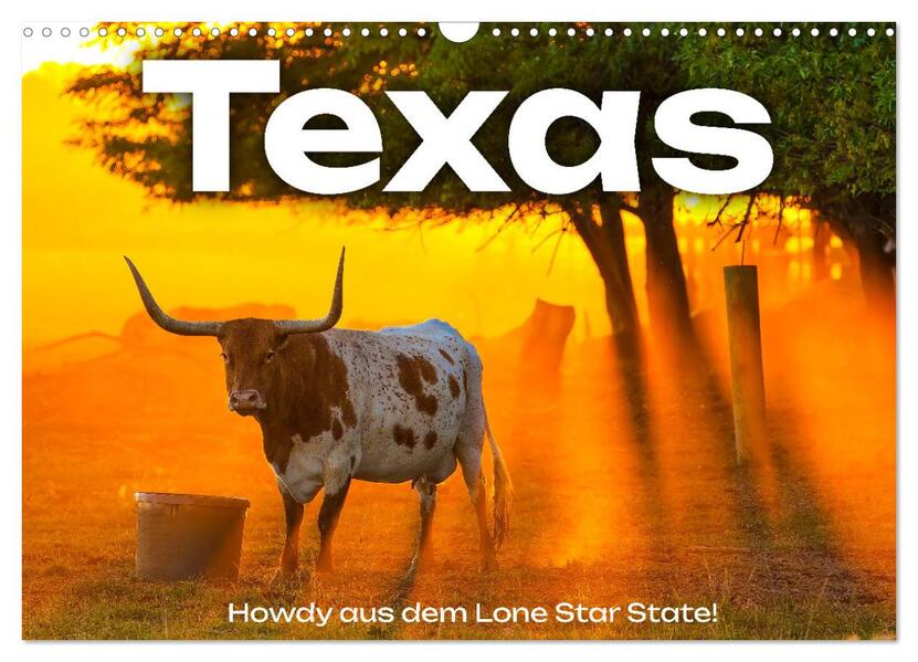 Texas - Howdy aus dem Lone Star State! (Wandkalender 2026 DIN A3 quer) CALVENDO Monatskalender
