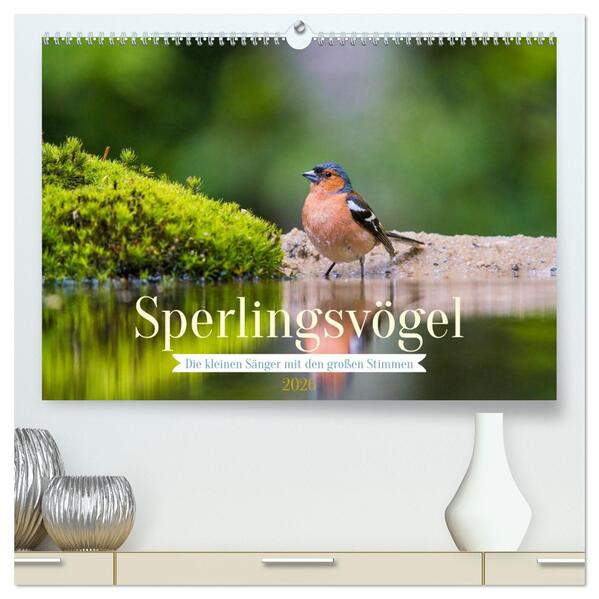 Sperlingsvögel - Die kleinen Sänger mit den großen Stimmen (hochwertiger Premium Wandkalender 2026 DIN A2 quer) Kunstdruck in Hochglanz
