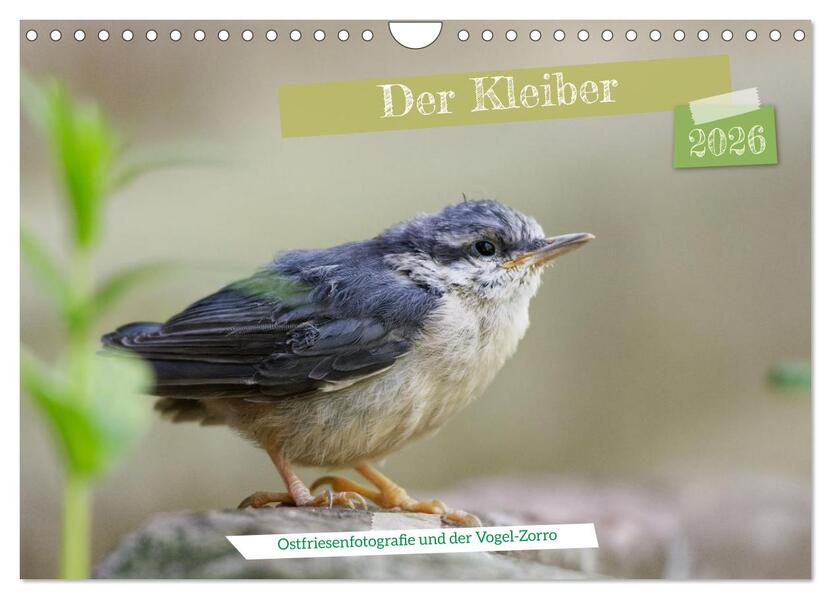 Der Kleiber - Ostfriesenfotografie und der Vogel-Zorro (Wandkalender 2026 DIN A4 quer) CALVENDO Monatskalender
