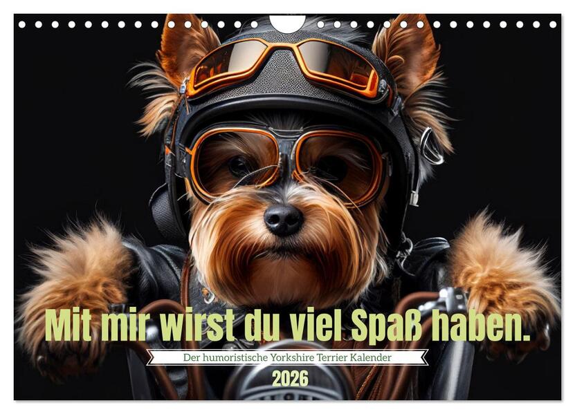 Der humoristische Yorkshire Terrier Kalender (Wandkalender 2026 DIN A4 quer) CALVENDO Monatskalender