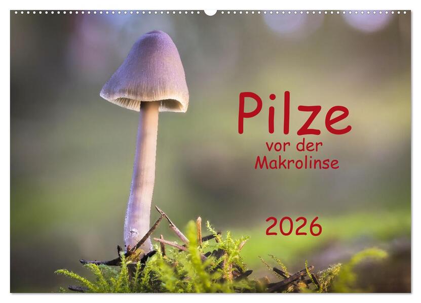 Pilze vor der Makrolinse 2026 (Wandkalender 2026 DIN A2 quer) CALVENDO Monatskalender