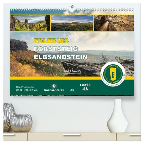 Erlebnis Forststeig Elbsandstein (hochwertiger Premium Wandkalender 2026 DIN A2 quer) Kunstdruck in Hochglanz