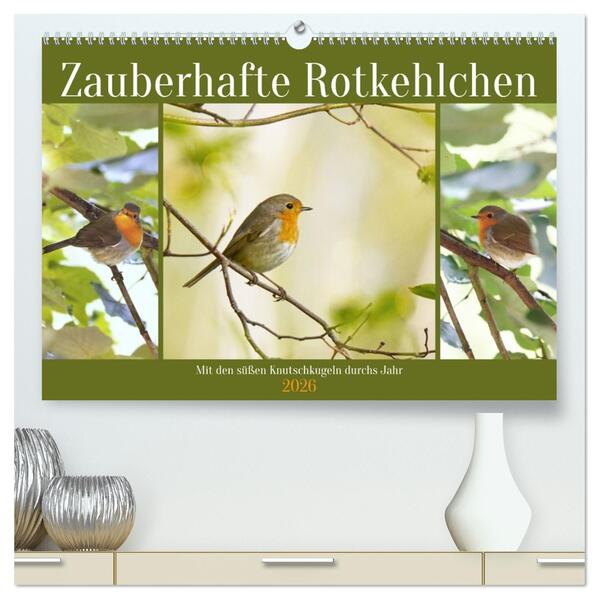 Zauberhafte Rotkehlchen (hochwertiger Premium Wandkalender 2026 DIN A2 quer) Kunstdruck in Hochglanz