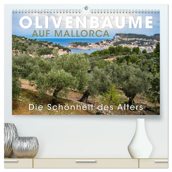 Olivenbäume auf Mallorca - Die Schönheit des Alters (hochwertiger Premium Wandkalender 2026 DIN A2 quer) Kunstdruck in Hochglanz