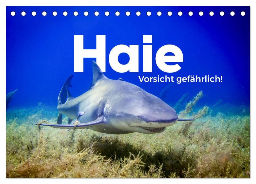 Haie - Vorsicht gefährlich! (Tischkalender 2026 DIN A5 quer) CALVENDO Monatskalender