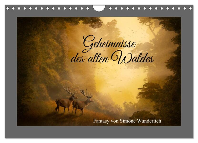 Geheimnisse des alten Waldes (Wandkalender 2026 DIN A4 quer) CALVENDO Monatskalender