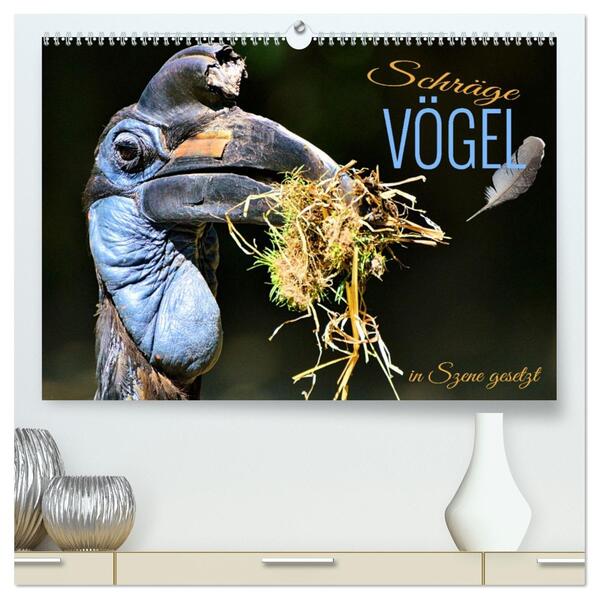 Schräge Vögel in Szene gesetzt (hochwertiger Premium Wandkalender 2026 DIN A2 quer) Kunstdruck in Hochglanz