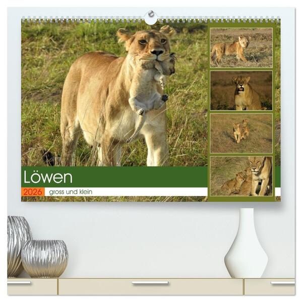 Löwen - gross und klein (hochwertiger Premium Wandkalender 2026 DIN A2 quer) Kunstdruck in Hochglanz