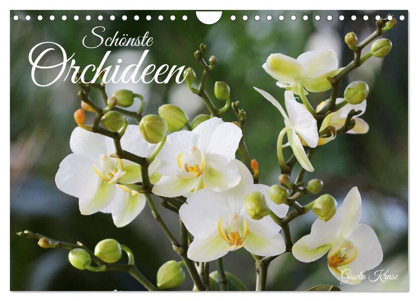 Schönste Orchideen (Wandkalender 2026 DIN A4 quer) CALVENDO Monatskalender